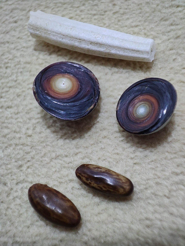 پک 2 بسته ای مهره مار اصل بادعای به نام وفعال، رزق وروزی، کارگشا،، ازدواج...